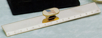 ds2051.jpg (18125 bytes)