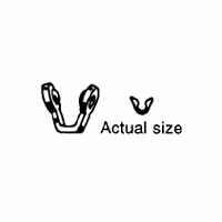 [Item Image]