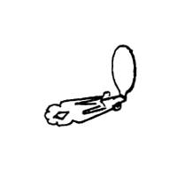 [Item Image]
