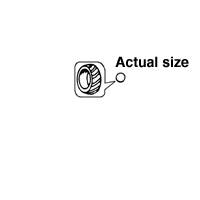 [Item Image]